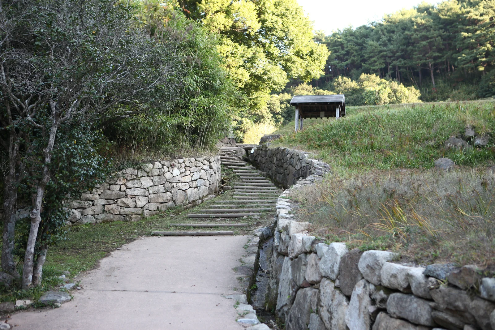 돌담 사이로 난 옥룡사 동백나무 숲의 오솔길과 계단