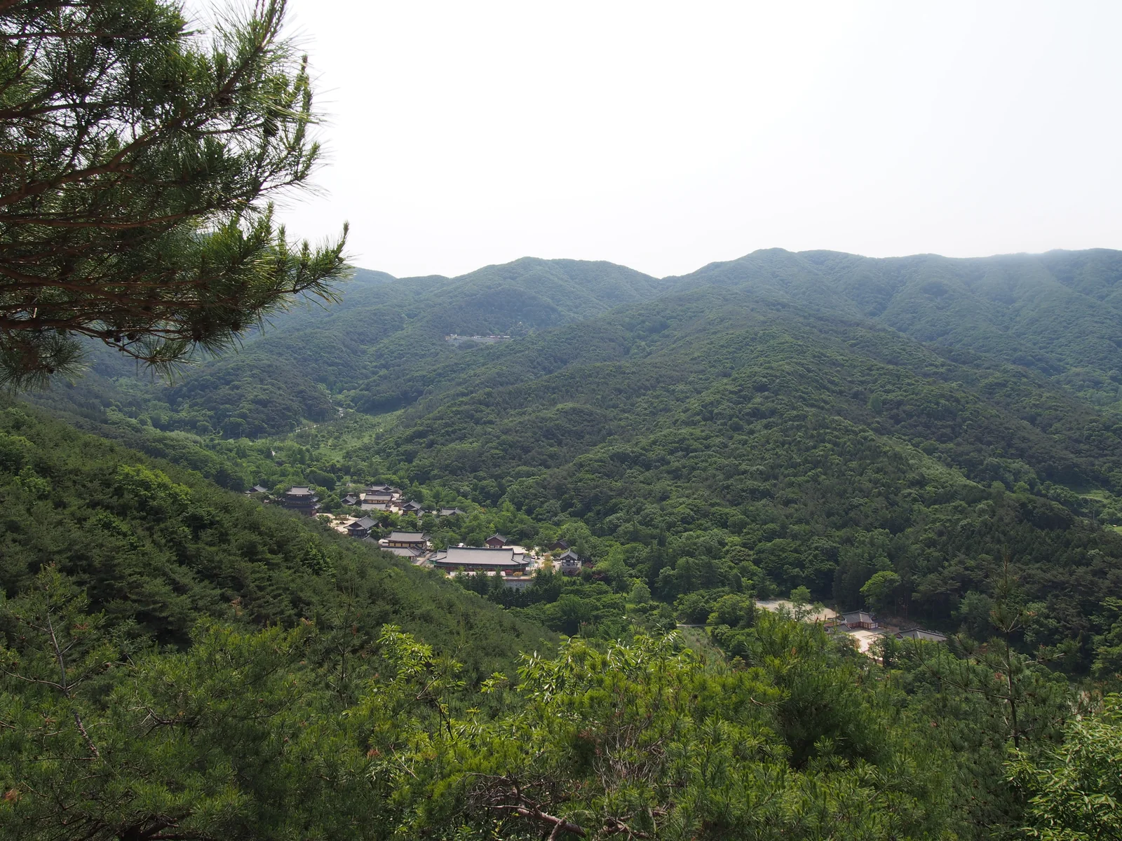 숲이 우거진 능선 사이로 내려다보이는 금산사 경내