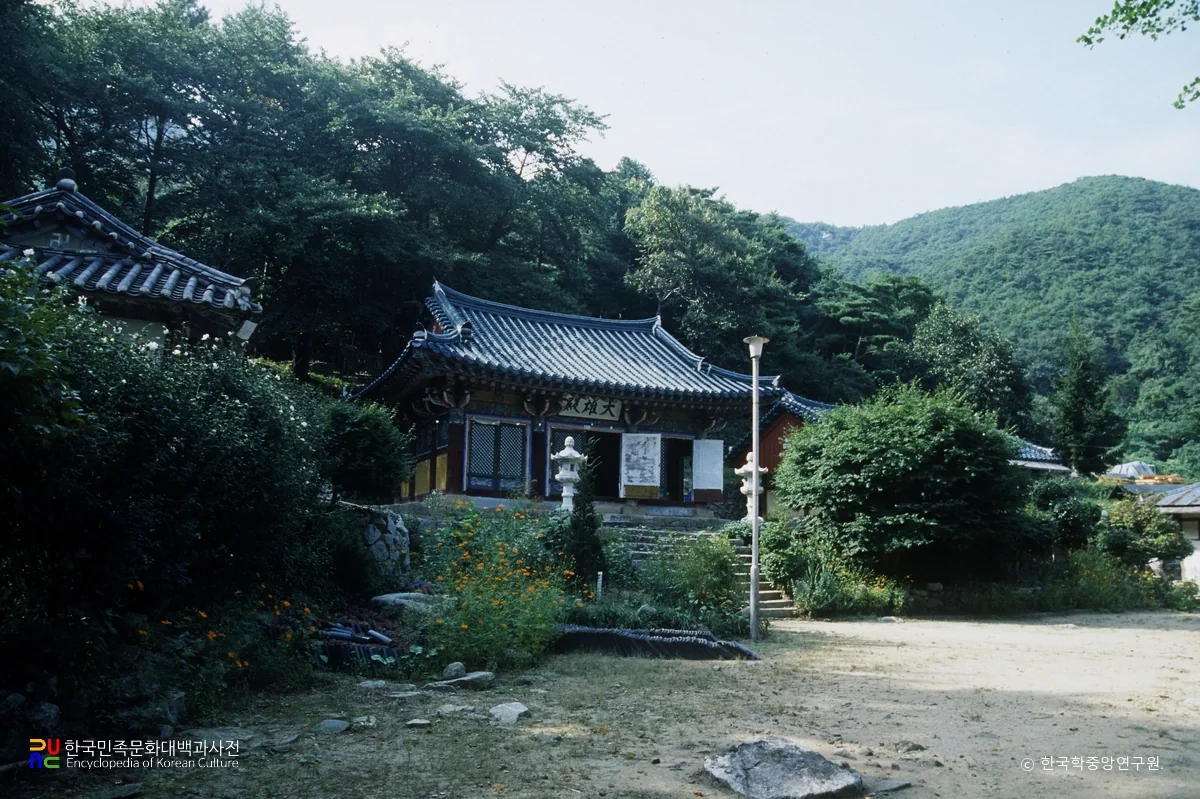 숲 아래 대원사 전각과 경내 마당