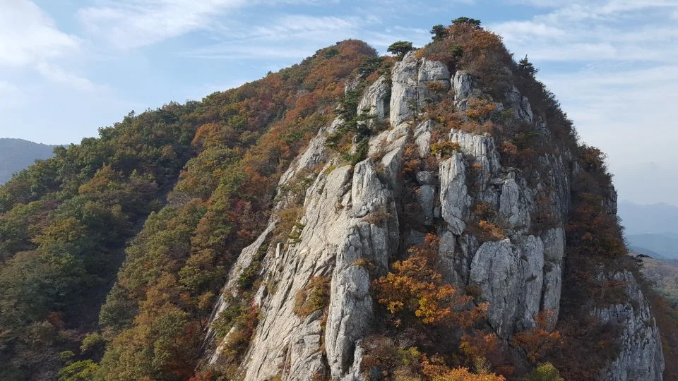 단풍 든 숲 위로 드러난 팔영산의 가파른 암벽