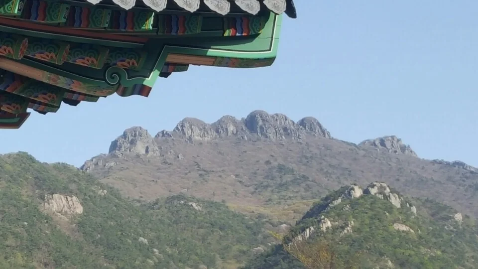 능가사 처마 너머로 길게 솟은 팔영산의 암봉 능선
