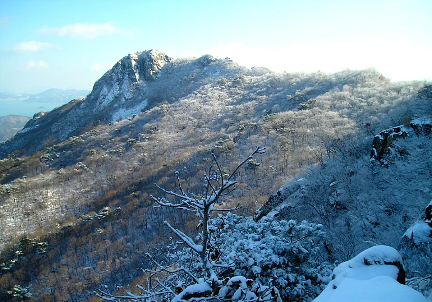눈이 덮인 숲 위로 솟은 팔영산 암봉