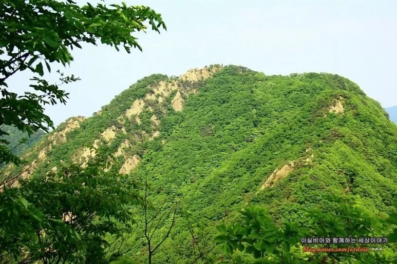 초록 숲과 바위가 어우러진 소요산 백운대·나한대 능선