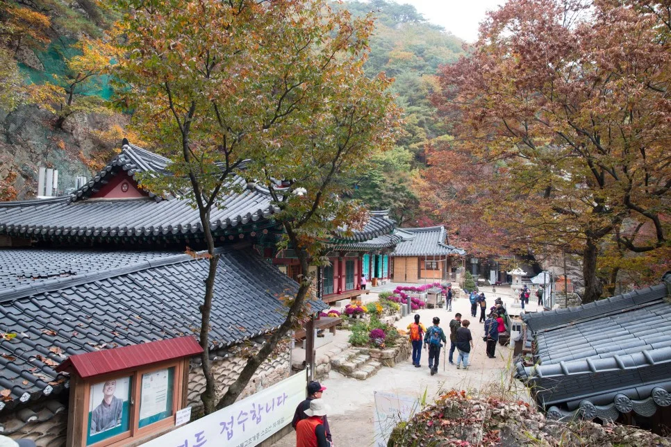 가을 나무 사이로 내려다보이는 자재암의 전각과 마당