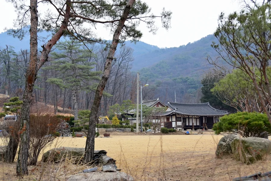 앞마당과 나무 너머로 보이는 수락산 아래 박세당 사랑채